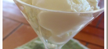 Rich Vanilla Frozen Yogurt
