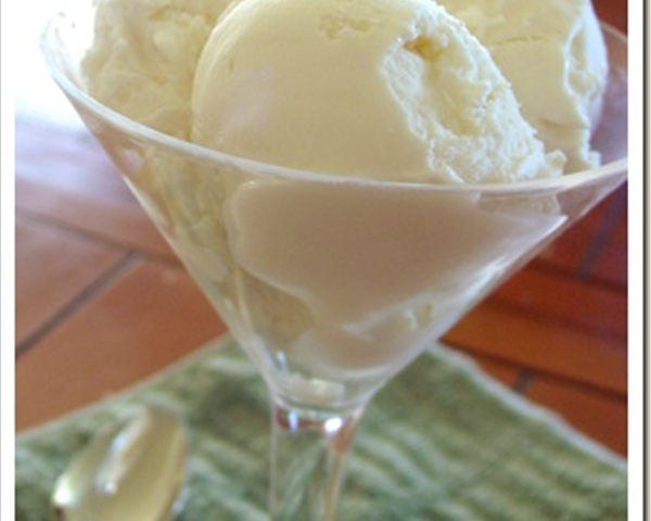 Rich Vanilla Frozen Yogurt