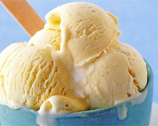 Vanilla Bean Ice Cream